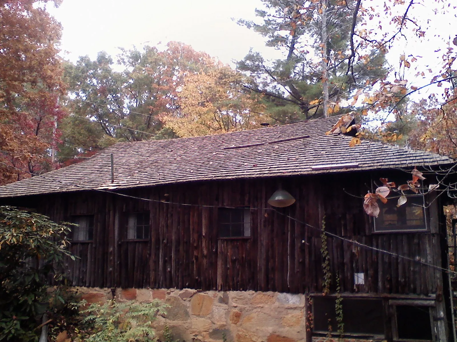Weathered wood shake roof on a rustic board sided cabin in Glenbrook